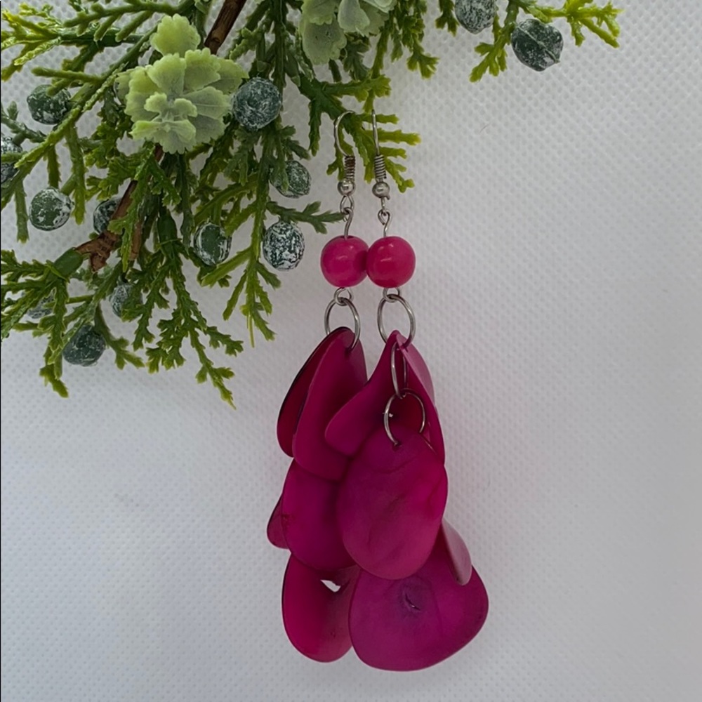 Eco friendly nut earrings